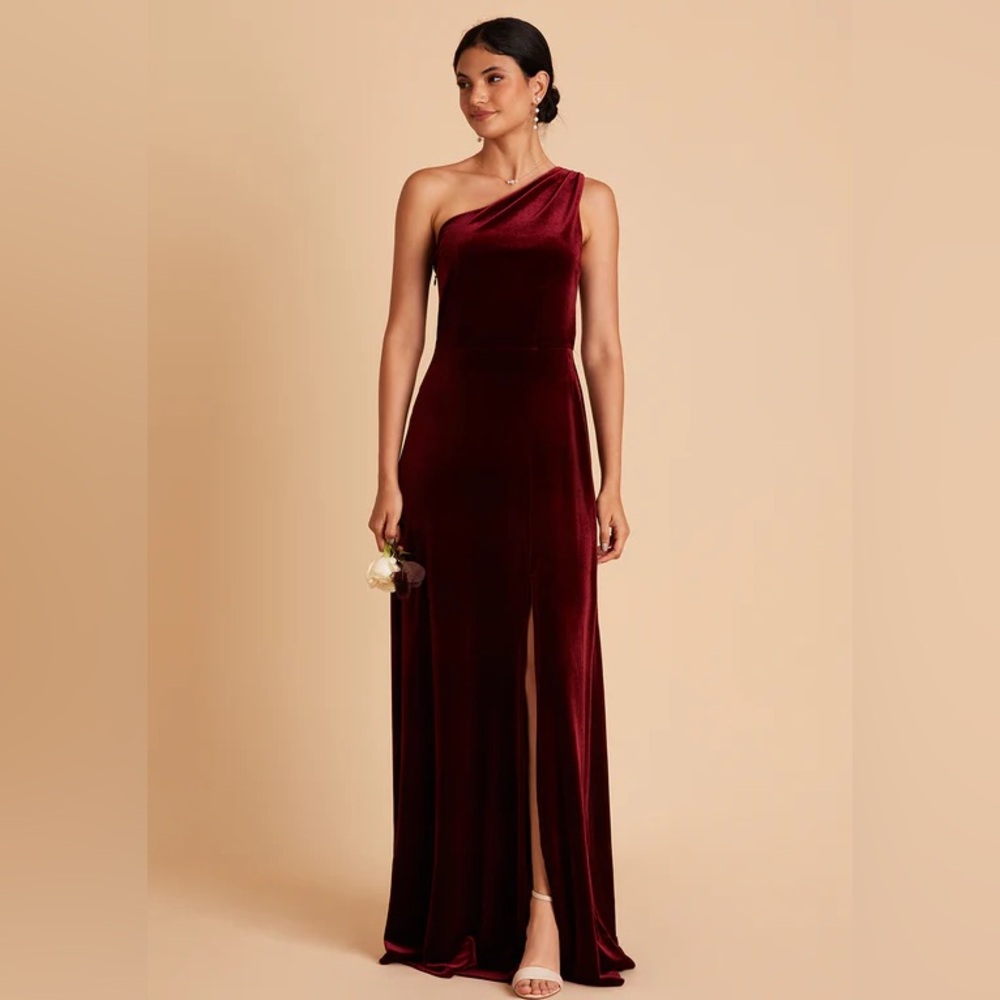 Birdy Grey Velvet Kira Dress
